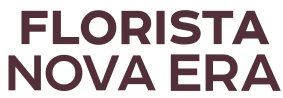 Florista Nova Era